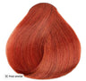 HiColor Hair Color - HiLights Red