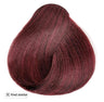 HiColor Hair Color - HiLights Red